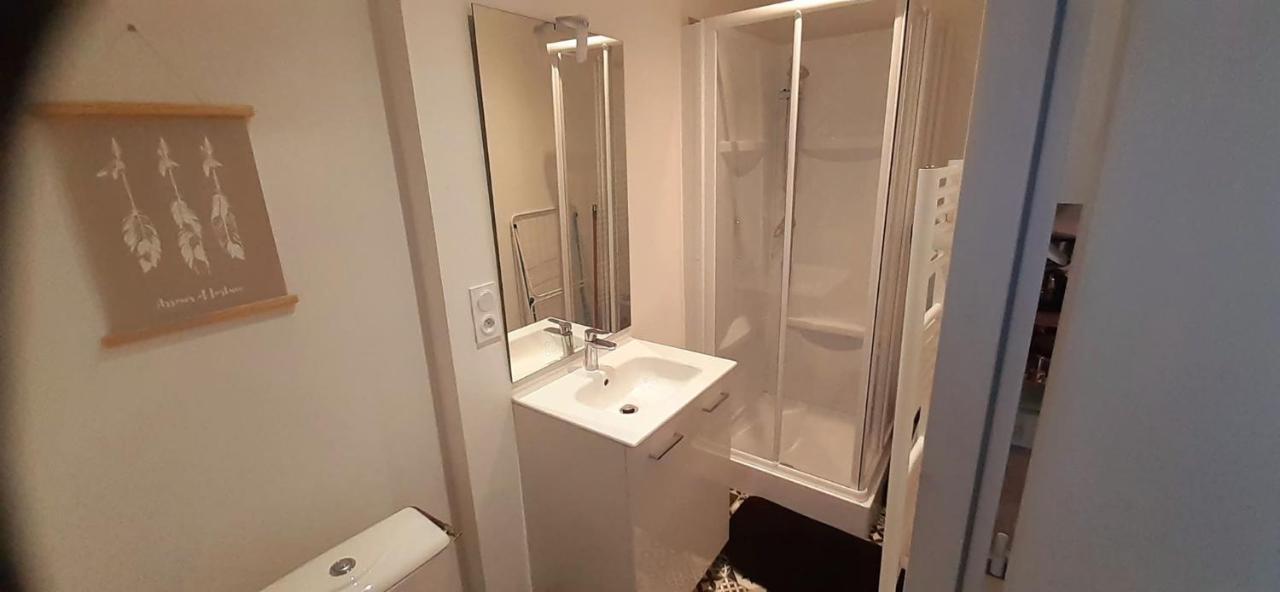 Residences Du Palmier Saint-Laurent-sur-Sevre Ngoại thất bức ảnh